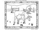 Página para colorir gado americano