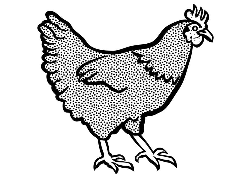 Página para colorir galinha