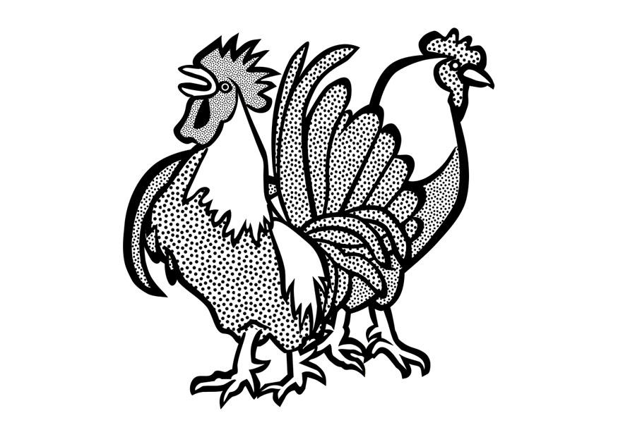 Página para colorir galo e galinha