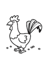 paginas-para-colorir galo