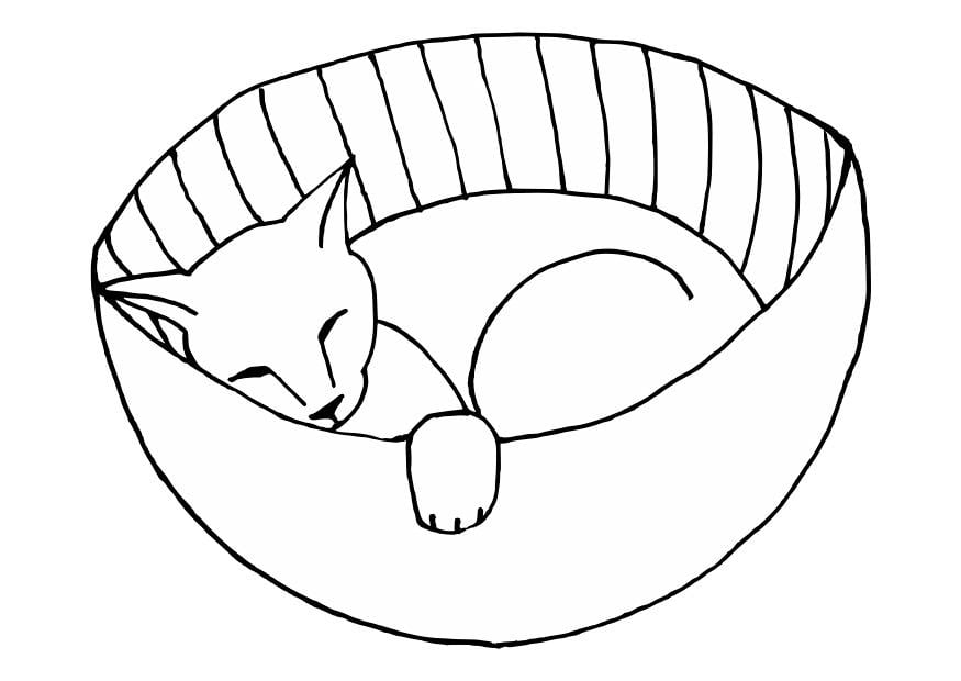 Página para colorir gatinho dormindo