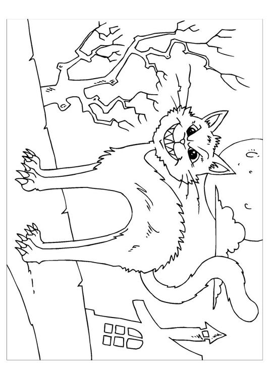 gato arrepiado 