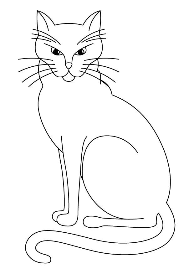 Desenhos para Adultos de Gato para Colorir - Imprimir Desenhos