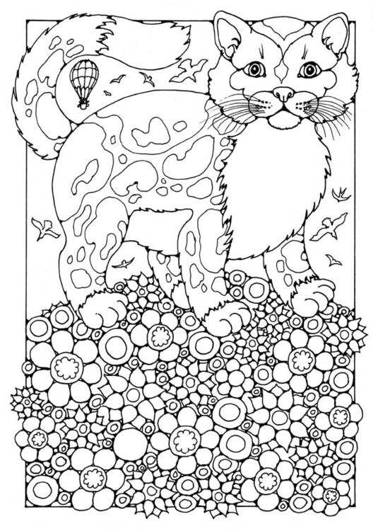 Página para colorir gato