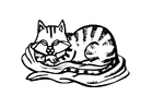 paginas-para-colorir gato
