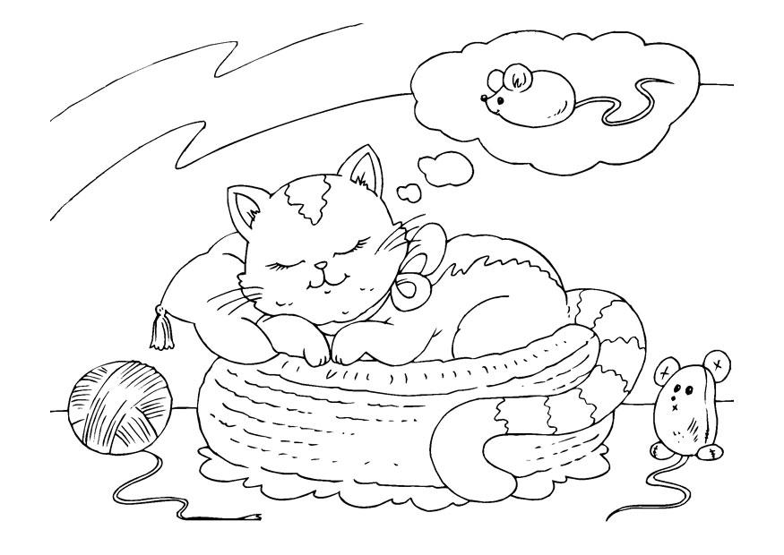 Página para colorir gato sonhando 