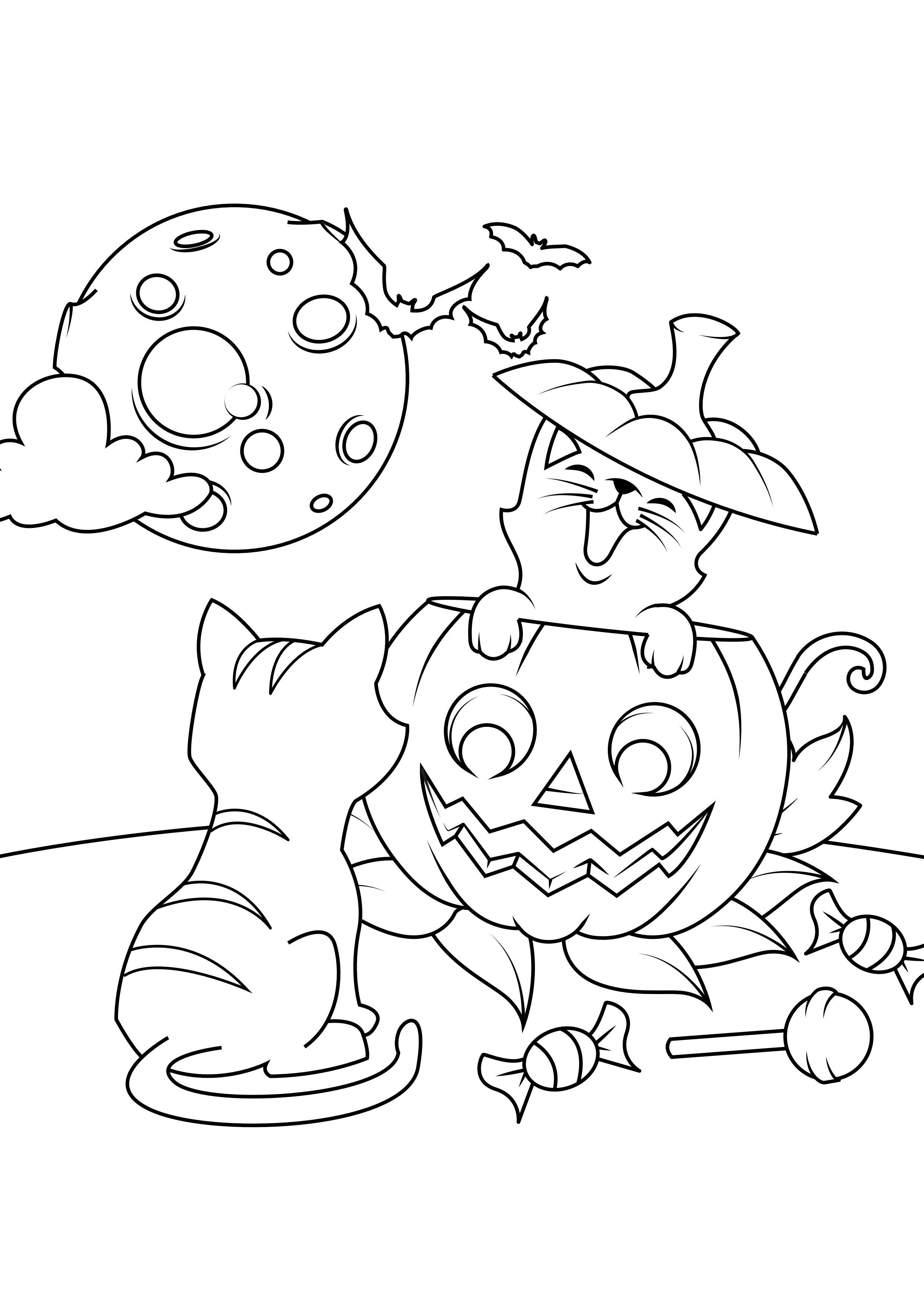 Desenhos de Abóbora de Halloween para colorir - Bora Colorir