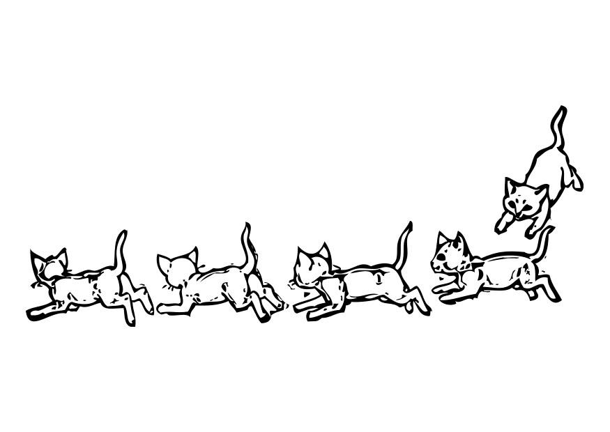 Desenhos de Gatinhos para colorir - Bora Colorir