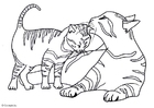 gatos