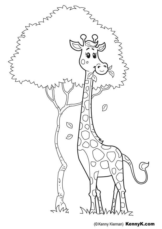 Página para colorir girafa