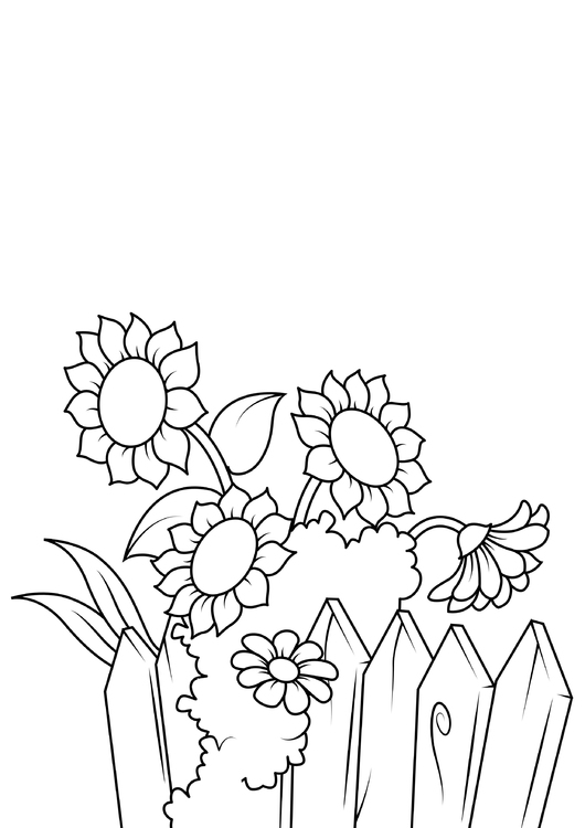 Página para colorir girassÃ³is