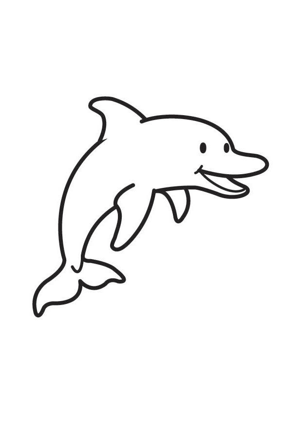 Página para colorir golfinho