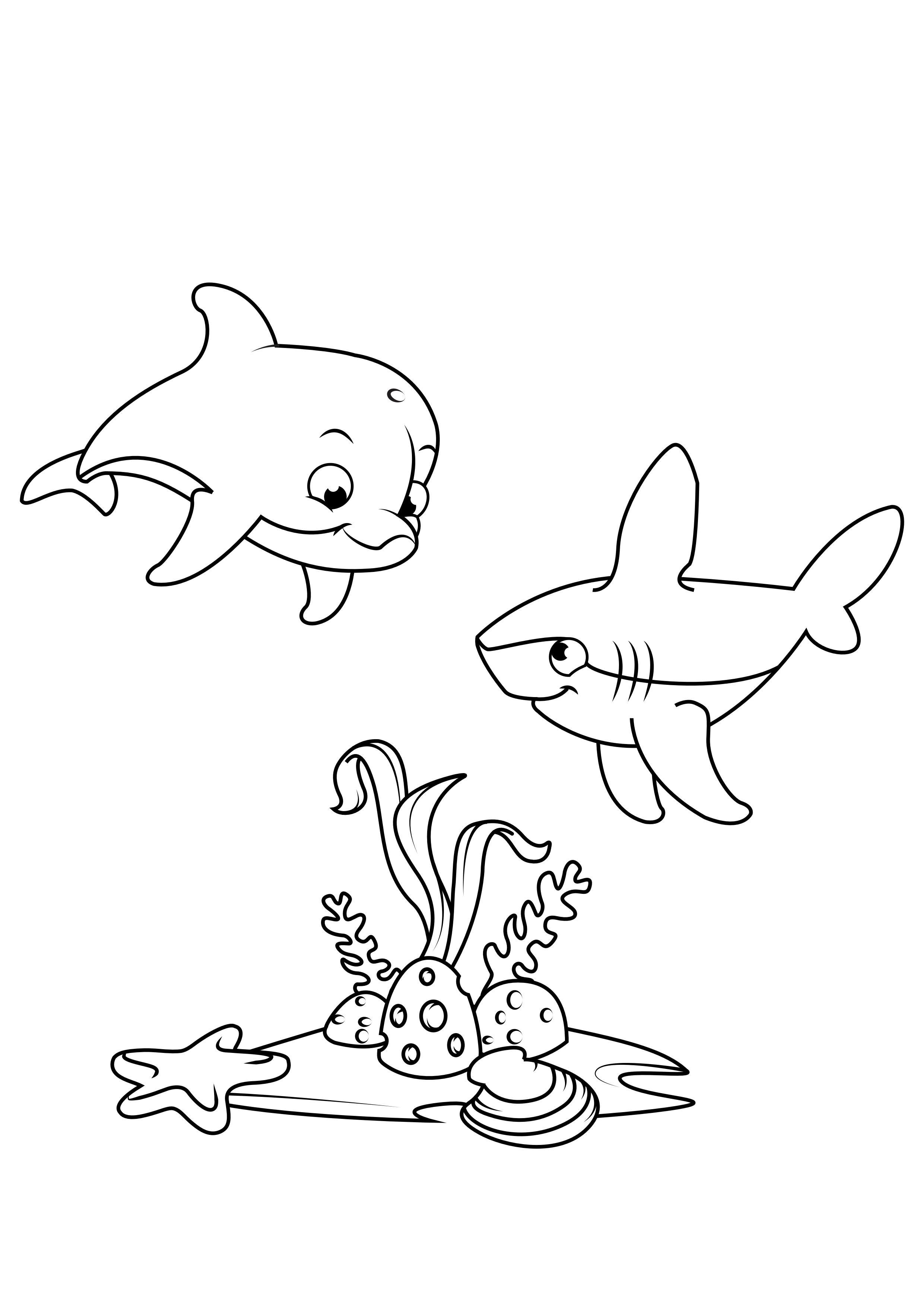 Página para colorir golfinho e tubarÃ£o