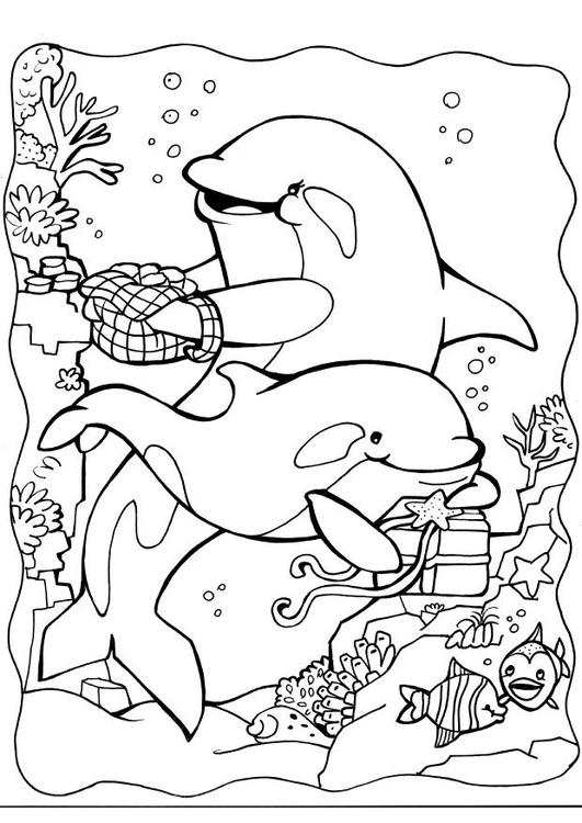 Página para colorir golfinhos 2