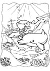 Página para colorir golfinhos 3