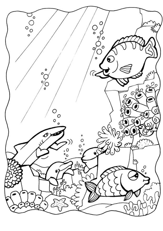 Página para colorir golfinhos com peixes 