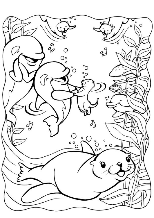 Página para colorir golfinhos com uma foca