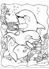paginas-para-colorir golfinhos 2