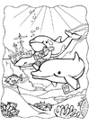 paginas-para-colorir golfinhos 3
