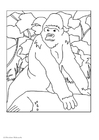 P�ginas para colorir gorila