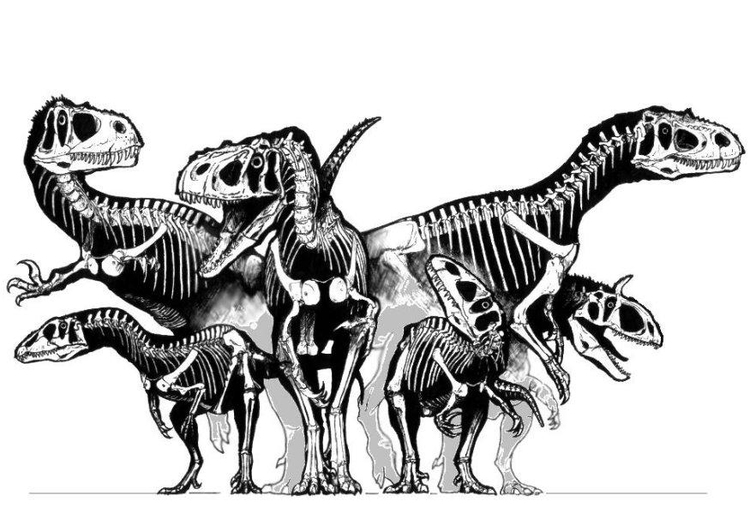 Página para colorir grupo de dinossauros - esqueletos 