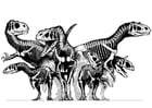P�ginas para colorir grupo de dinossauros - esqueletos 