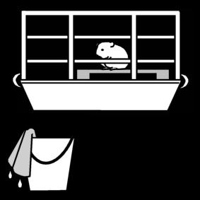 hamster - limpeza na gaiola