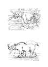 paginas-para-colorir herbívoros 