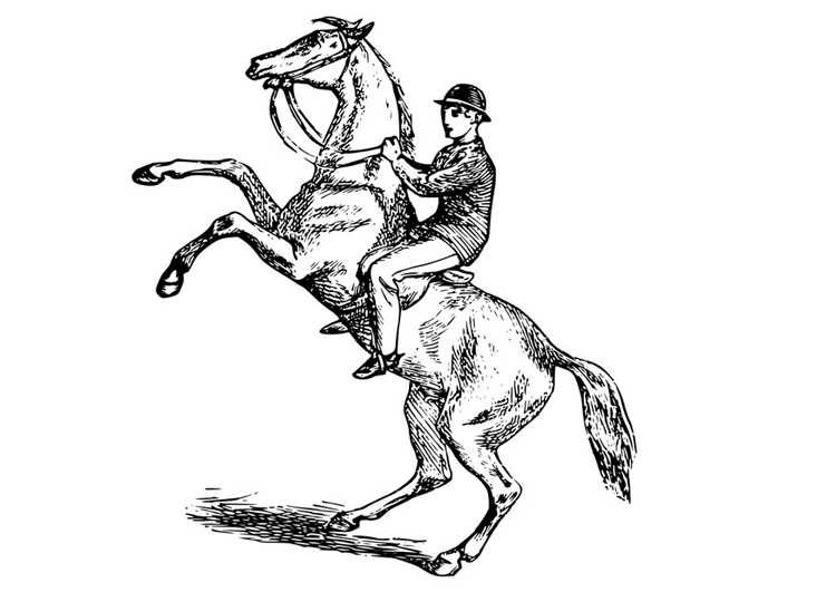 Desenhos para colorir de desenho de um homem saltando com seu cavalo para  colorir online 