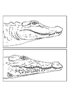 Página para colorir jacarÃ© - crocodilo