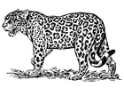paginas-para-colorir jaguar 