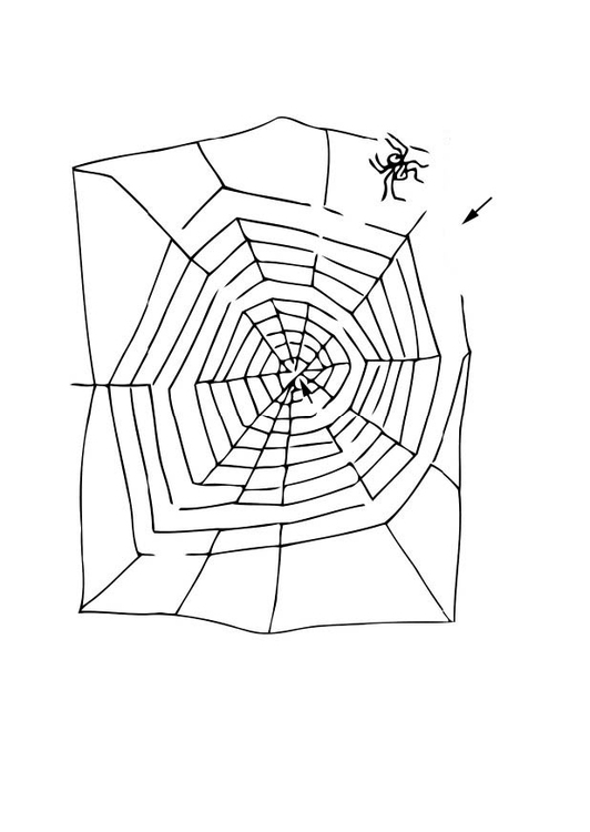 Página para colorir labirinto - aranha