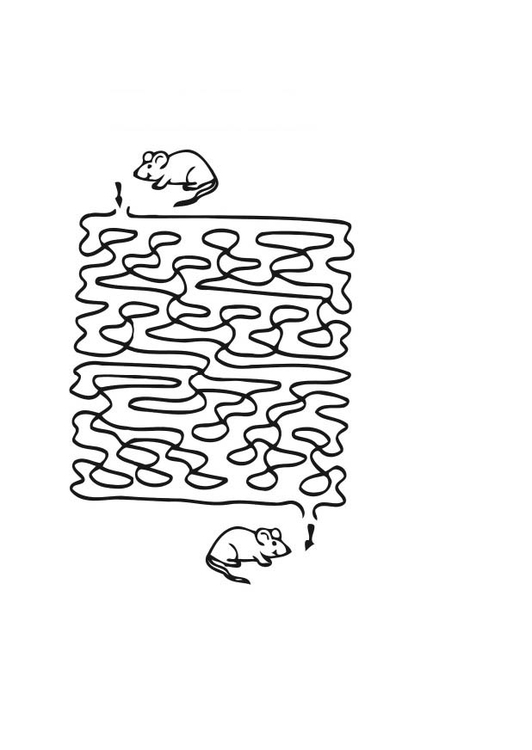 Página para colorir labirinto - camundongo