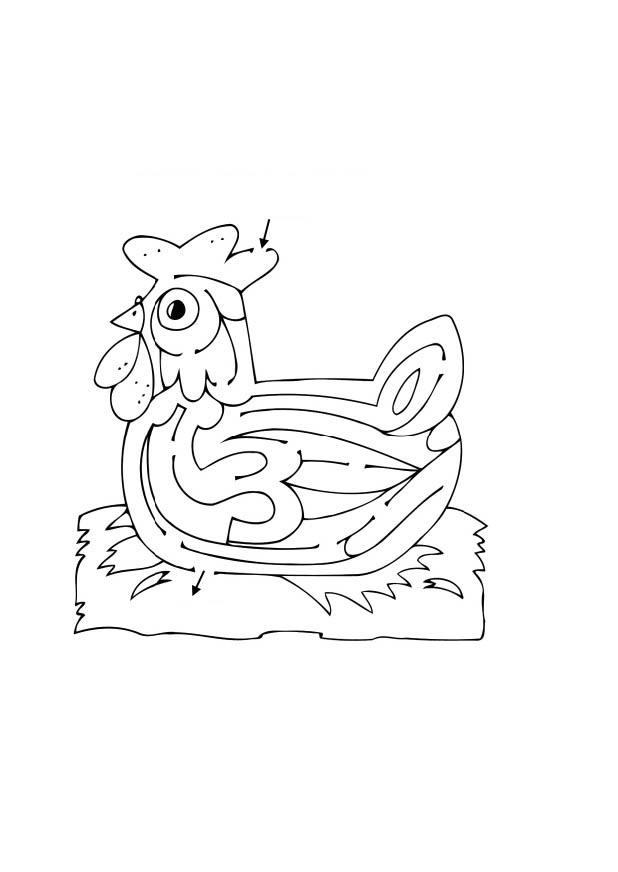 Página para colorir labirinto - galinha 