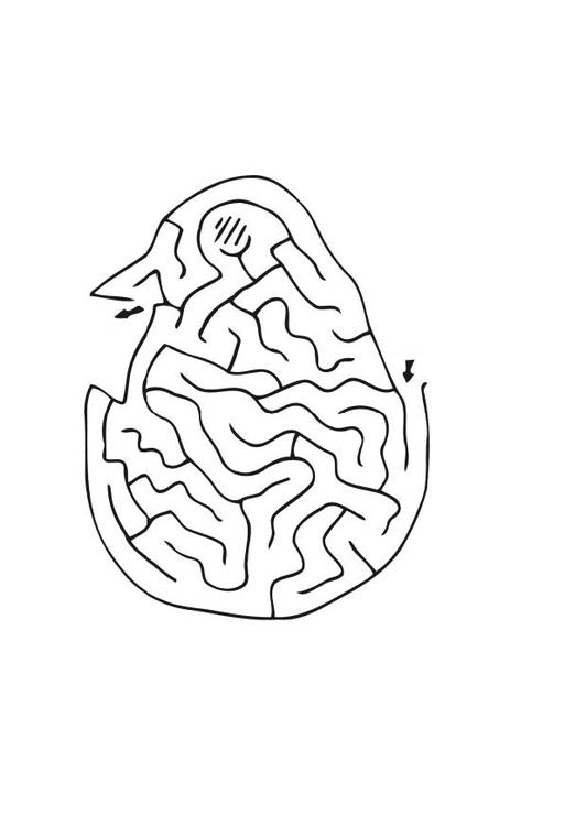 labirinto - pintinho