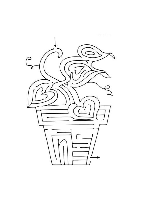 labirinto - planta 