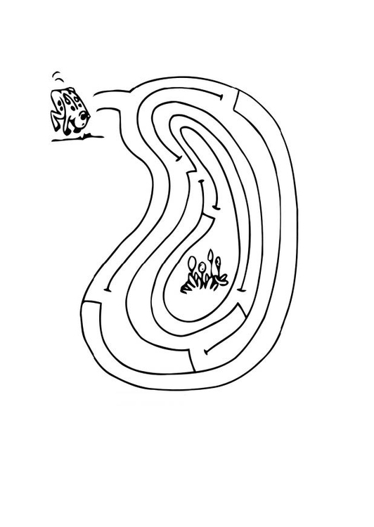 Página para colorir labirinto - sapo