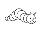 lagarta 