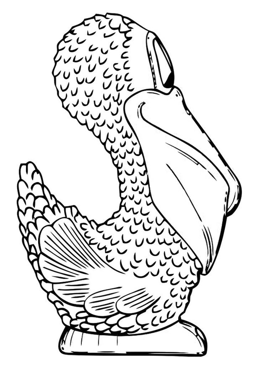 Página para colorir lateral de um pelicano 