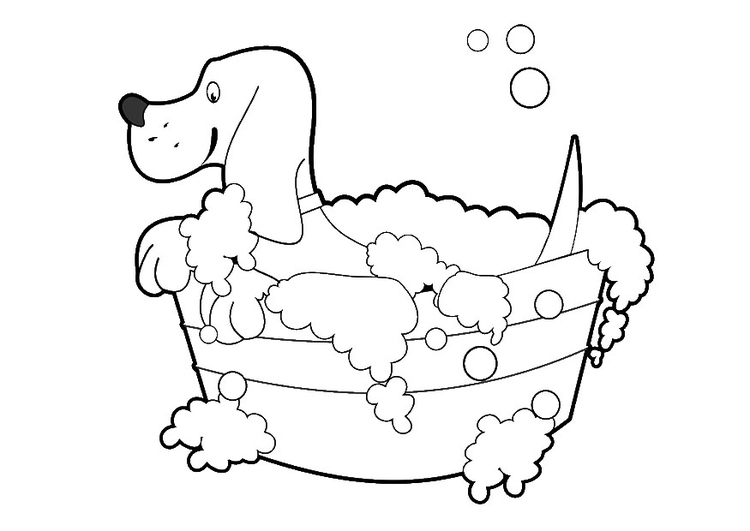 Página para colorir lavagem de cachorro