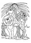 leão, girafa e zebra