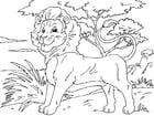 P�ginas para colorir leão