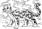Página para colorir leopardo nebuloso
