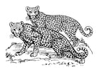 Página para colorir leopardo 