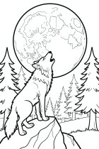lobo uivando em uma rocha