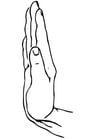 mão