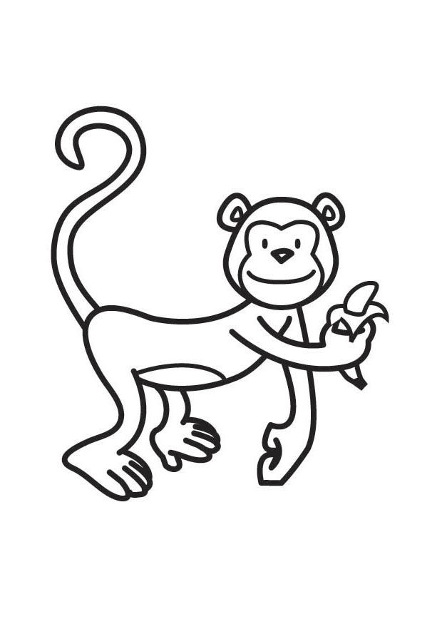 Página para colorir macaco 