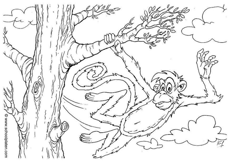 Página para colorir macaco