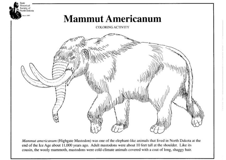 Página para colorir mamute americano 