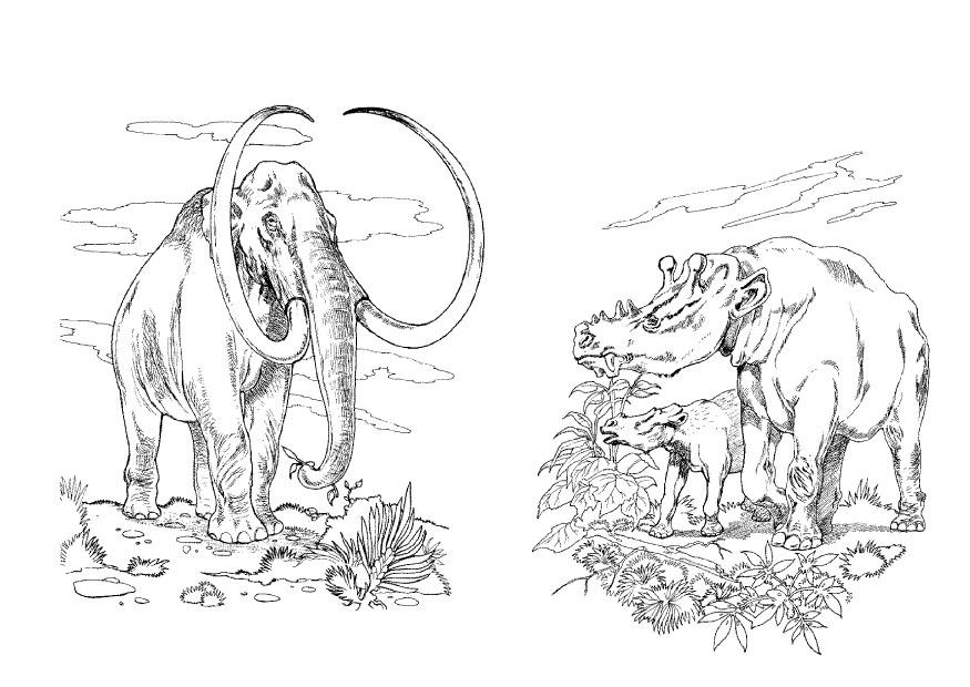 Página para colorir mamute - herbÃ­voros 